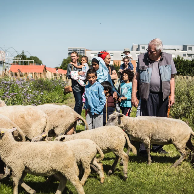 Ouverture-de-Zone-Sensible-Moutons-de-Clinamen-Cr®dit-Anne-Claire-H®raud.jpg